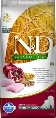 Produktbild von Farmina Pet Food CHICKEN & POMEGRANATE PUPPY MEDIUM & MAXI, Welpe, Huhn, 2,5 kg