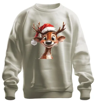 Immagine prodotto di Felpa unisex per bambini con motivo natalizio: renna, Babbo Natale e regalo, carina e divertente, colore naturale, taglia 3XL