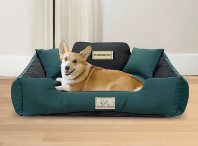 Obrázek produktu pro Pelíšek pro psy KINGDOG MM43 115x95 cm personalizovaný odnímatelný protiskluzový zelený