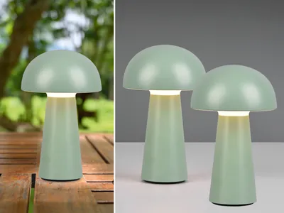 Produktbild von Dimmbare LED OUTDOOR Tischleuchte 21cm 2er SET Akku USB Anschluß in Grün