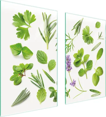 Image de Plaques de recouvrement pour cuisinière 2 pièces 75x52 Couverture de champ en vitrocéramique Planche à découper épices vert