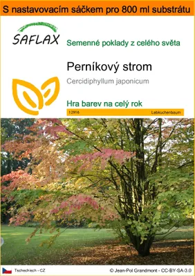 Obrázek produktu pro SAFLAX Garden in the bag - perníkový strom - Cercidiphyllum japonicum - 200 Semena - S pěstebním substrátem v praktickém samovztyčovacím sáčku
