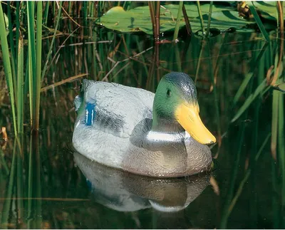 Produktbild von Heissner Schwimmente Stockerpel", 35cm (665)"