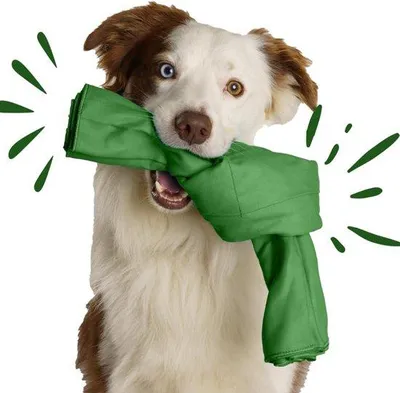 Productafbeelding van Famanu Snuffelspel - Interactief honden speelgoed - Hondenpuzzel