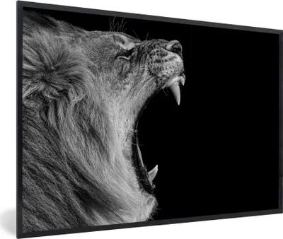 Produktbild von MuchoWow® Gerahmtes Poster Tiere - Löwe - Schwarz - Weiß - Porträt 90x60 cm - Poster mit Schwarzem Bilderrahmen Wandposter Rahmen Foto Bilder - Fotorahmen - Foto-Plakat
