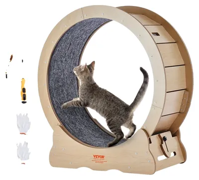 Image de Home trainer pour chats VEVOR, tapis roulant pour chats d'intérieur de 750 mm, tapis roulant pour chats pour courir, se promener, s'entraîner, convient à la plupart des chats jusqu'à 3,6 kg.