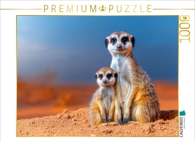 Produktbild von CALVENDO Puzzle Ein unglaublich beeinruckendes Bild | 1000 Teile Lege-Größe 64x48cm Foto-Puzzle für glückliche Stunden