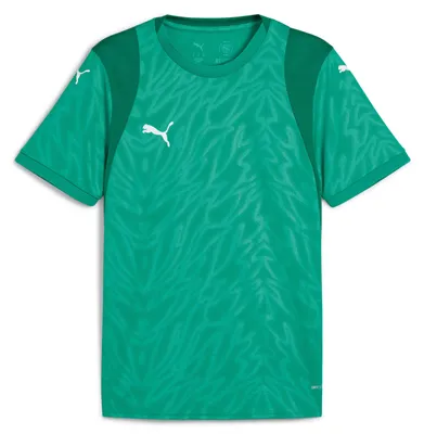 Obrázok produktu pre Puma teamCUP dres pánsky zelený biely veľkosť S