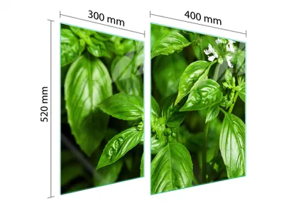 Obrázek produktu pro Skleněná Ochranná Deska Na Srdce 70X52 Basil