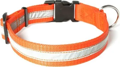 Produktbild von Mystique® Nylon Halsband Profi reflex 30mm neon orange 30-40cm