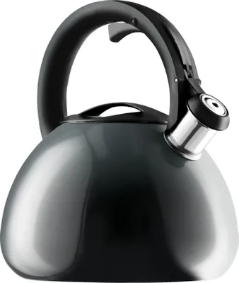Produktbild von KADAX Teekessel "Mores", Edelstahl Flötenkessel mit Pfeif, Wasserkessel mit Ombre-Effekt, Grau, 3L