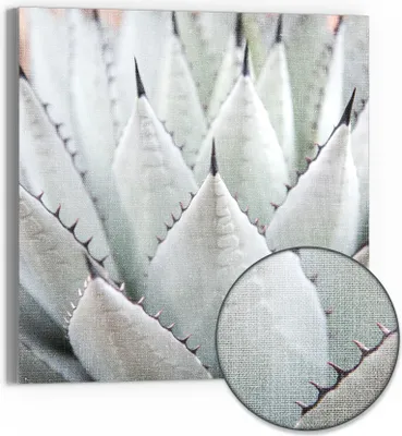 Produktbild von DEQORI Hybrid Leinwand Bild 30x30 cm 'Agavenästhetik' Wandbild Glas flach modern