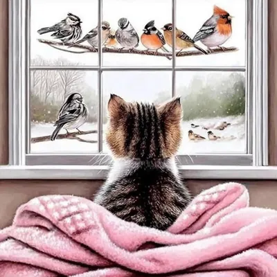 Produktbild von 5D Diamond Painting Set Katze Vogel Tier 30x30cm LEL002