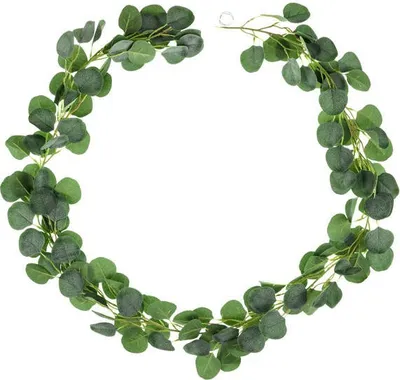 Immagine prodotto di Ghirlanda di eucalipto, verde 180 cm