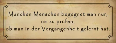 Produktbild von vianmo Holzschild 10x27 cm manche Menschen begegnet man nur Spruch Zitat