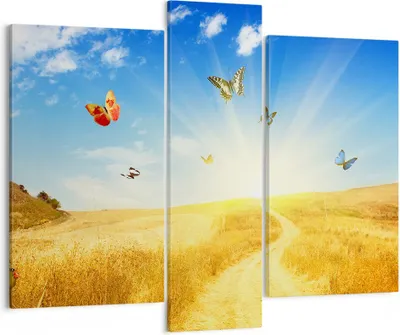 Produktbild von Bild auf Leinwand - Leinwandbild - Schmetterlinge Wiese Gras - 95x80cm - Wand Bild - Wanddeko - Leinwanddruck - Bilder - Kunstdruck - Wanddekoration - Leinwand bilder - Wandkunst - CB95x80-0517