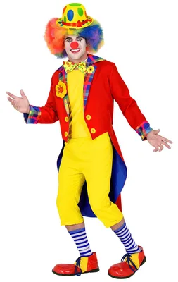 Imagen del producto de Payaso Frack M
