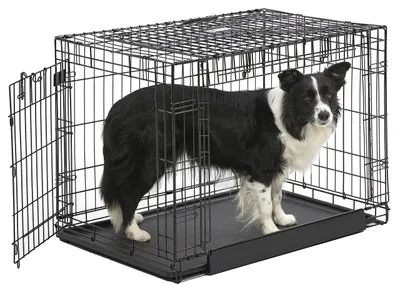 Zdjęcie produktu dla MidWest Homes for Pets - Klatka dla psa "Ovation" z podwójnymi drzwiczkami, 91 cm, składana, wykonana z