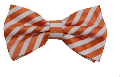 Produktbild von Fabio Farini - 1 Stück Herren Streifen Fliegen - Männer Querbinder Vorgebunden Bowtie Streifen - Orange/Weiß