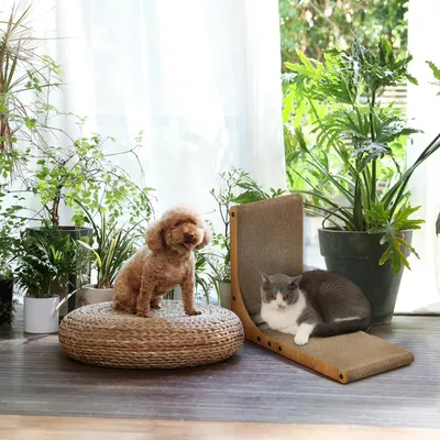 Image de Griffoir en carton en forme de L de 48 cm de haut - griffoir solide pour chats avec jouets en forme de balle - pour murs et coins - taille moyenne