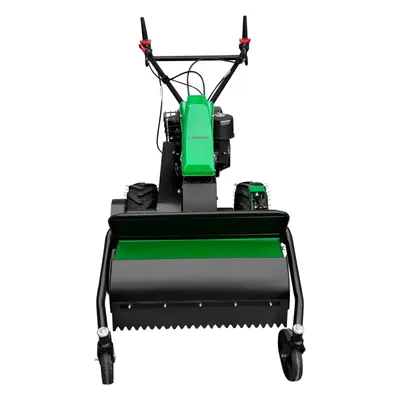 Image de Broyeur tondeuse Grünwelt GWX700 : Entretien de pelouse simple et efficace