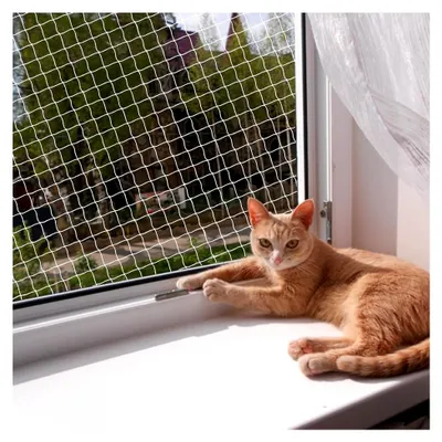 Produktbild von Katzenschutznetz aus Polyesterfaser für Balkon, zuschneidbar und bissfest, zur Absicherung von Terrasse, Fenstern und Türen (3x6m)