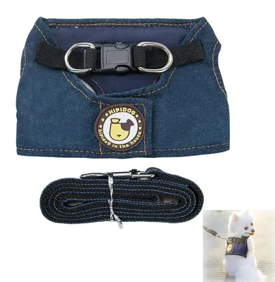 Productafbeelding van Hondentuig in blauw met verstelbare riem voor honden en katten