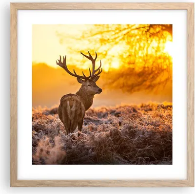 Produktbild von Gerahmtes Poster - Rahmen in heller Eiche - Herbst landschaft natur blatt - 40x40 cm - Wand Bild - Wanddeko - Wandbilder - Wandposter - Bilderrahmen - Bilder - Kunstdruck - Wandbild - P2NAC40x40-2552