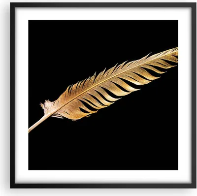 Produktbild von Gerahmtes Poster - Schwarzer Rahmen - Golden Feder Schwarz - 50x50 cm - Wand Bild - Wanddeko - Wandbilder - Kunstposter - Wandposter - Bilderrahmen - Bilder - Kunstdruck - P2BAC50x50-4887