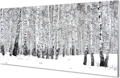 Produktbild von Glasbilder 100x50 Wandkunst Winter Birken