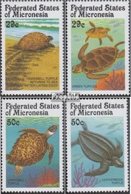 Produktbild von Briefmarken Mikronesien 1991 Mi 215-218 (kompl.Ausg.) postfrisch Meeresschildkröten