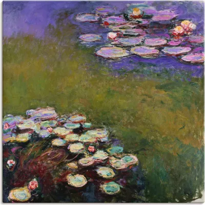 Produktbild von ARTland Leinwandbild Seerosen. Größe: 40x40 cm