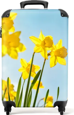 Produktbild von NoBoringSuitcases.com® Koffer Handgepäck Trolley Rollkoffer Kleine Reisekoffer mit 4 Rollen - Blumen - Narzisse - Gelb - Frühling - Botanisch - Cabin Size < 55x40x23 cm & 55x40x20 cm - Fotokoffer - Kabinenkoffer - BoardgepäckHandgepäck Koffer 55x35x20 cm, 36L,