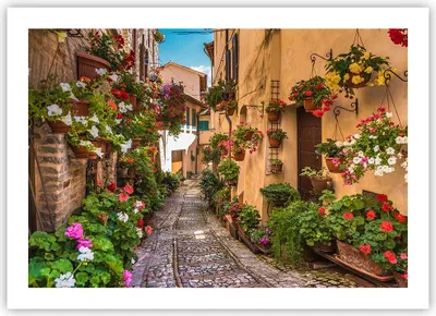 Produktbild von Poster - Poster ohne Rahmen - Path Blumen Haus Hof - 70x50 cm - Wand Bild - Wanddeko - Wandbilder - Kunstposter - Wandposter - Bilder - Kunstdruck - Wanddekoration - Wandbild - P2XAA70x50-3183