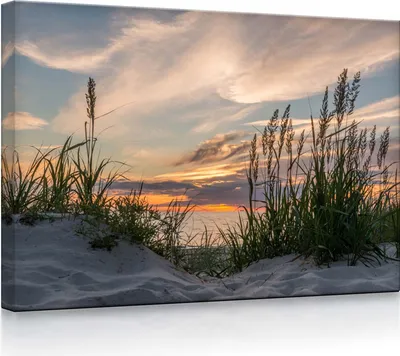 Produktbild von lightbox multicolor | Leuchtbild | Gras am Strand bei Sonnenuntergang | 100x70 cm | fully lighted