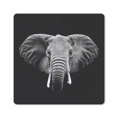 Produktbild von MuchoWow® Mauspad Mousepad Elefant - Tiere - Schwarz - Weiß 30x30 cm - Mousepads - Maus Mat - Pad - Mausunterlage - Gaming