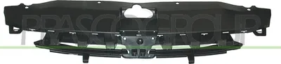 Produktbild von PRASCO PG4202001 Kühlergrill Frontgrill passend für PEUGEOT 307 (3A/C)