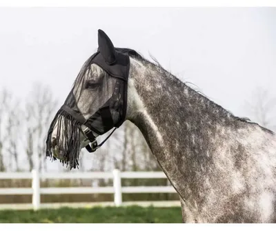 Produktbild von RIDING WORLD Leichte Netzfliegenhaube, Gr. WB