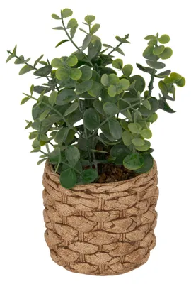 Image de Eucalyptus artificiel en pot « jaye » h27cm - Atmosphera créateur d'intérieur