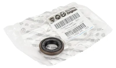 Produktbild von Original Fiat Getriebewellendichtring Eingangswelle Alfa Romeo, Lanica 40004670