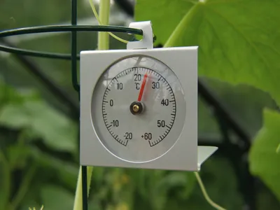 Produktbild von Thermometer