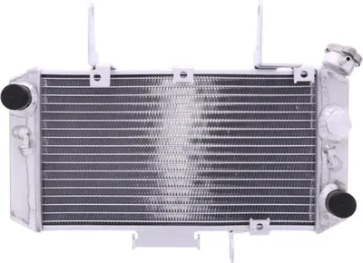 Image de JMP TRS-R-698 refroidisseur d'eau pour Suzuki DL 650