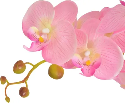 Produktbild von vidaXL KÃ1/4nstliche Orchidee mit Topf 75 cm Rosa