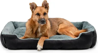 Produktbild von Famanu Hundematratze Hochwertig - 90 x 70 cm