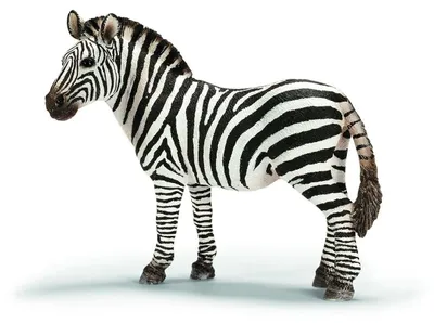 Produktbild von Schleich 17021 - Wild Life - Zebra Stute (14392)