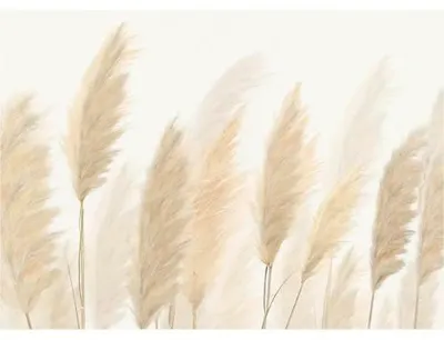 Produktbild von Fototapete Vlies FT5P 3057-040 Pampasfeld beige 375 x 270 cm