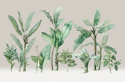 Produktbild von Sanders & Sanders Fototapete Palmblätter Beige und Grün 424 x 280 cm