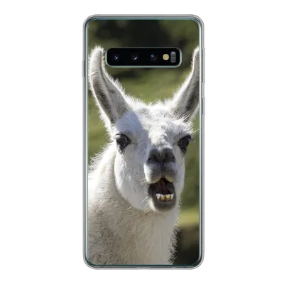 Produktbild von MuchoWow® Handyhülle Schutzhülle Hülle für Samsung Galaxy S10 Lama - Lustig - Kinder - Jungen - Mädchen - Kinder Silikon Softcase Handy Hülle - Handytasche