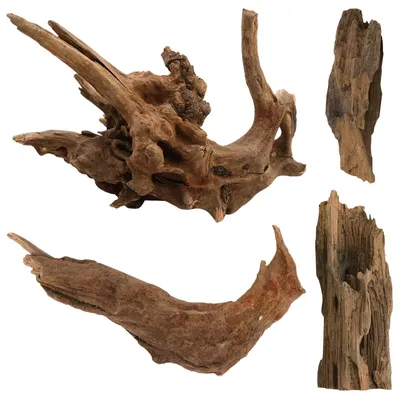 Image de Racine de bois naturel pour aquarium, bois flotté, décoration, bois véritable, lot de 4, 8-15 cm