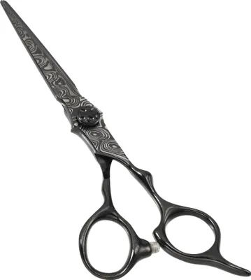 Image de Cheveux Ciseaux, Cheveux Coupe Ciseaux, Barbier Amincissement Ciseaux, Inox Acier Rasoir, Noir